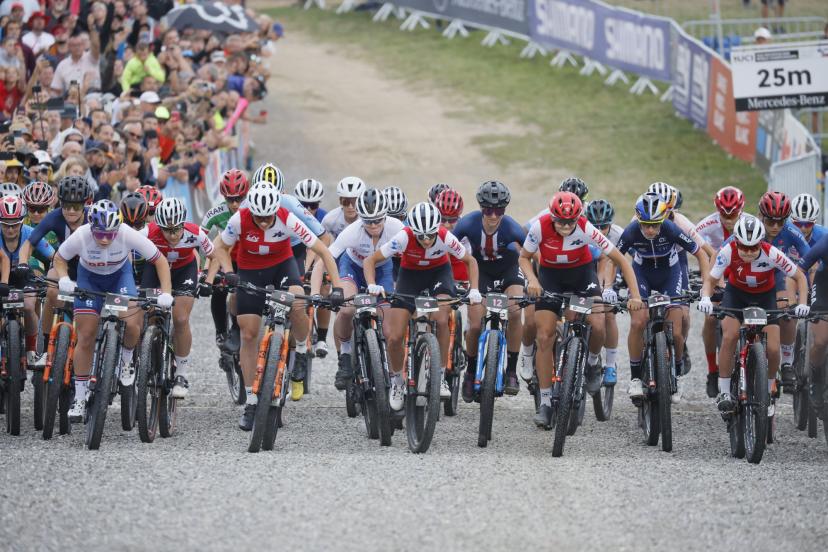 coupe du monde short track